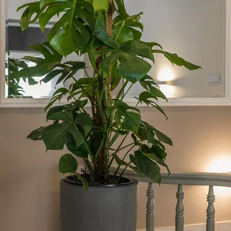 Plaza 1866 Superior 3* Ханья