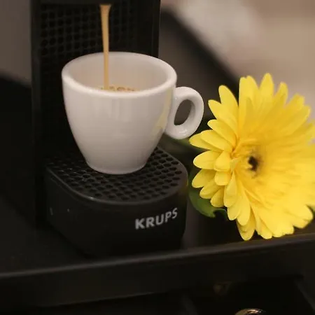 Plaza 1866 Superior Hotel