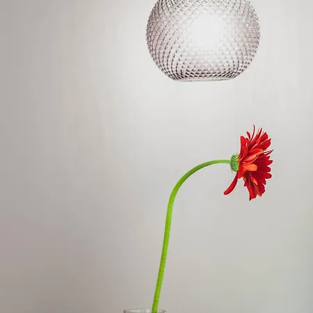 Plaza 1866 Superior 3*