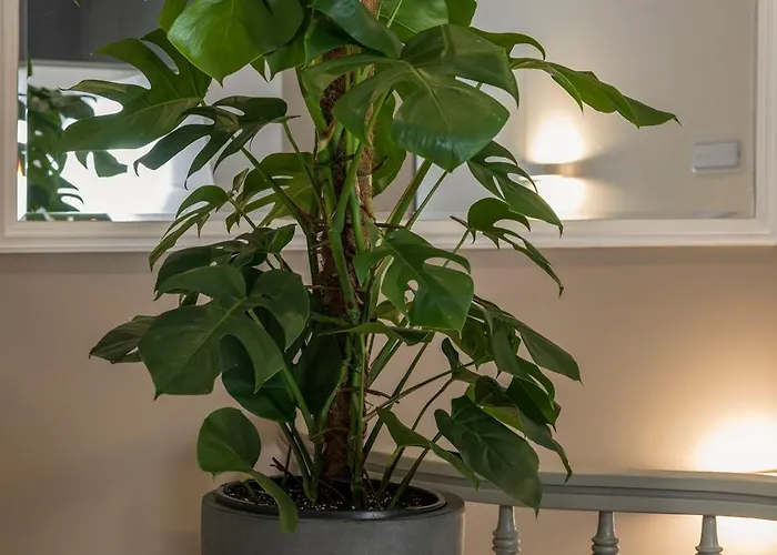 Plaza 1866 Superior 3* Chania (Crete)