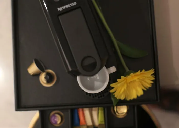 Hotel Plaza 1866 Superior